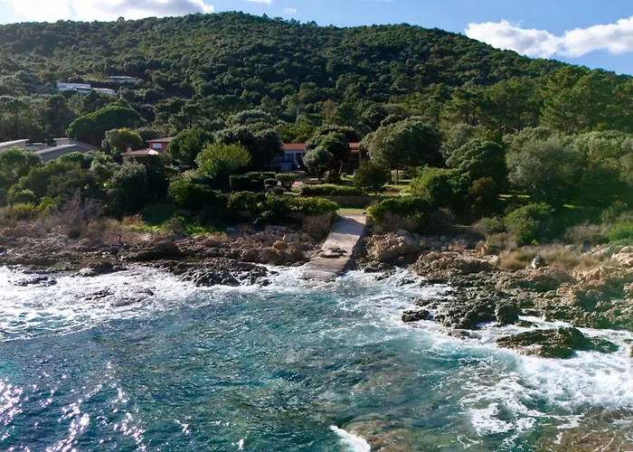 Marina Di Figa Daire